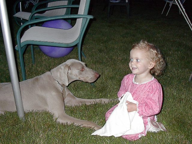 Good Doggie!; click to return.