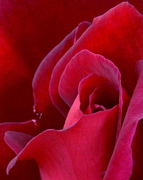 Elegance; click to return.