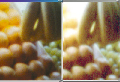 Polaroid SprintScan, left, and PrimeFilm scans, 4,000 dpi.